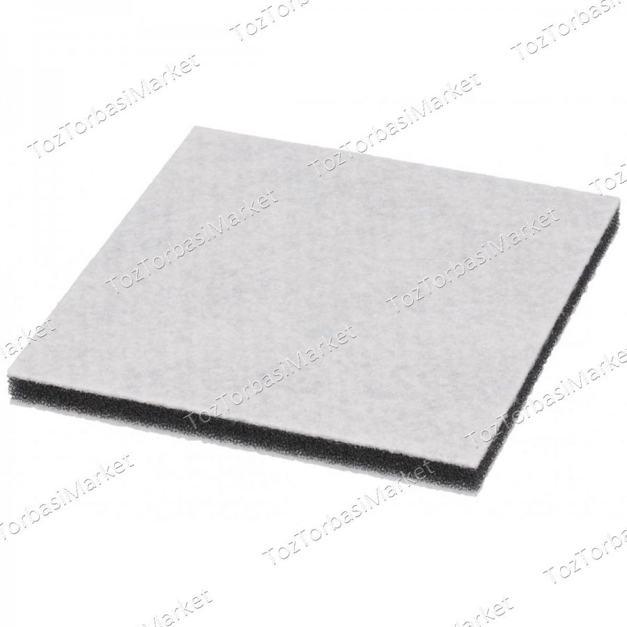 Philips Performer Motor Koruma Filtresi - FL014